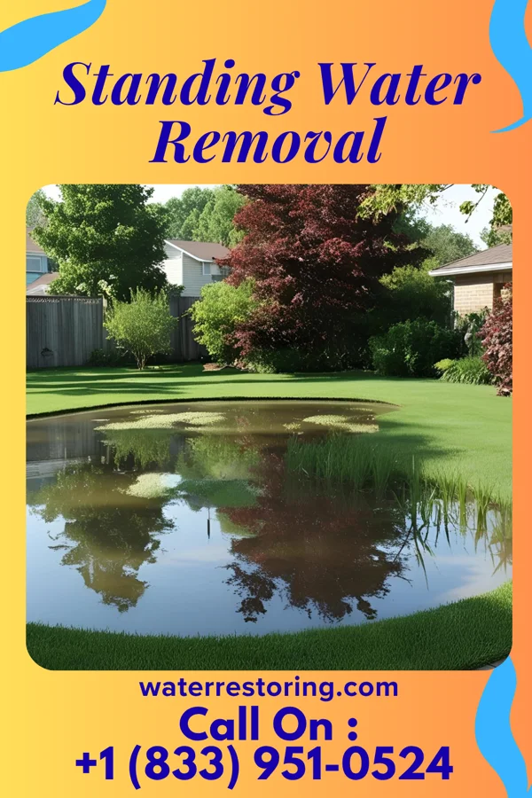 Standing Water Removal in Urbandale, IA
